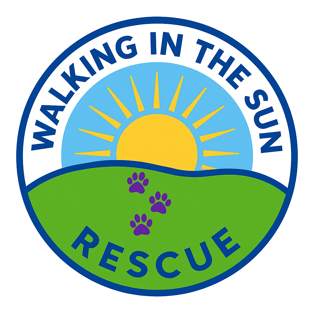 Walking in the Sun Rescue badge